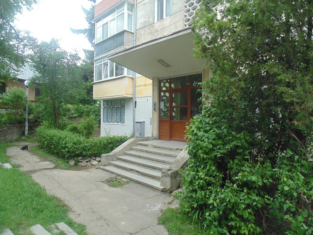 Lary Apartament Сучеава Стая снимка