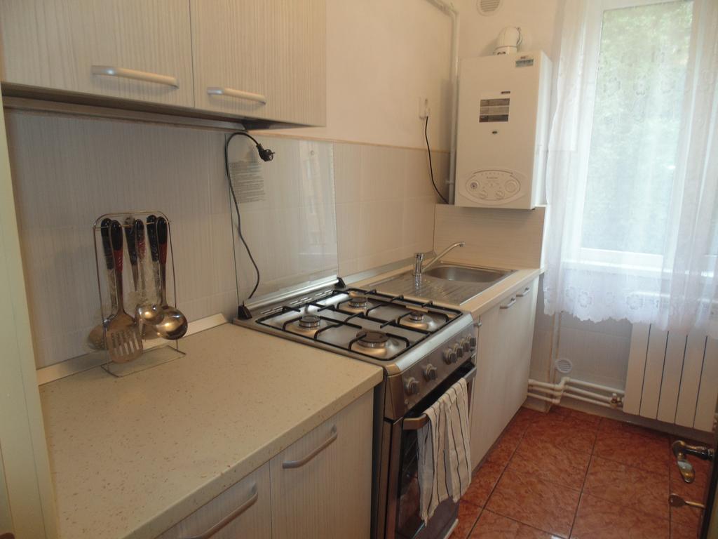 Lary Apartament Сучеава Стая снимка